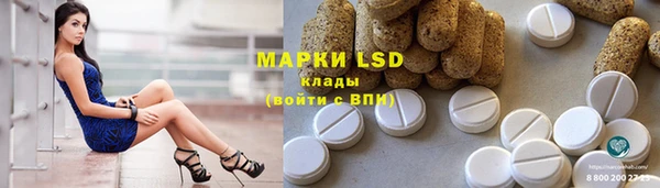шишки Верея