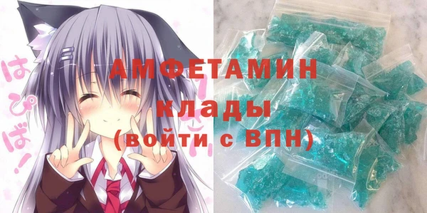 шишки Верея
