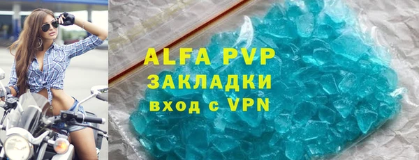 шишки Верея