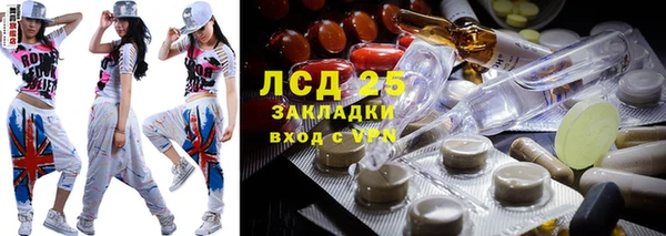 шишки Верея