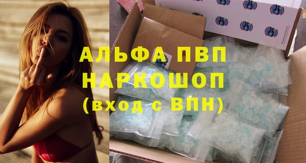 шишки Верея