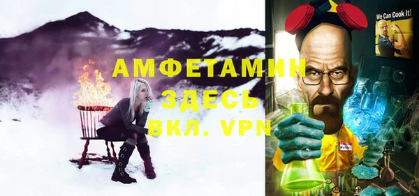 шишки Верея