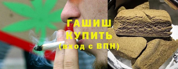 шишки Верея