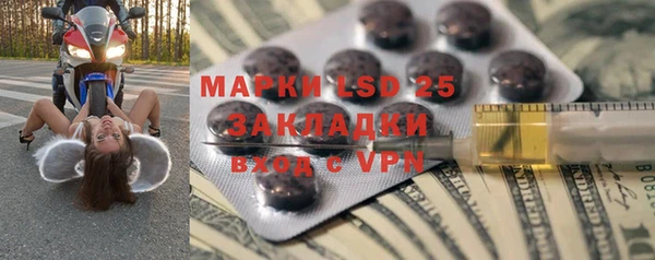 шишки Верея